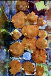 IMG_3940.jpeg