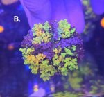 20260311_112429 (1).jpg