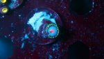 miami vice 1 polyp 4.JPG