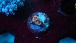 queen strat 2 polyp 2.JPG