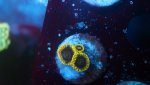 Yoda 2 polyp 3.JPG