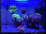 IMG_0105.jpeg