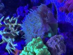 IMG_0100.jpeg