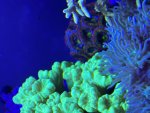 IMG_0096.jpeg