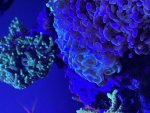 IMG_0102.jpeg
