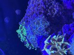 IMG_0099.jpeg
