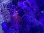 IMG_0139.jpeg