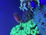 IMG_0165.jpeg