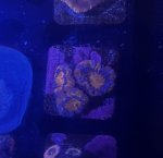 IMG_3939.jpeg