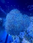 IMG_8444.jpeg
