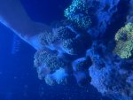 IMG_8420.jpeg