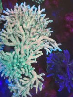 IMG_5889.jpeg