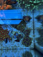 IMG_2768.jpeg