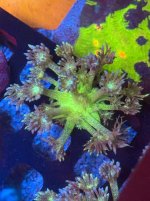 IMG_4088.jpeg