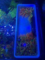 IMG_5999.jpeg