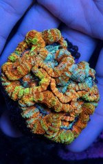 IMG_3213.jpeg