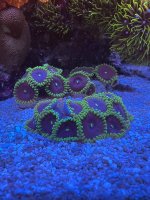 IMG_0992.jpeg