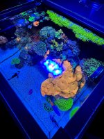 IMG_0945.jpeg