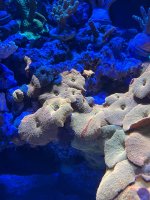 IMG_1007.jpeg