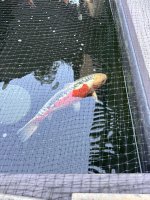 IMG_6042.jpeg