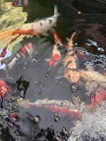 IMG_6024.jpeg