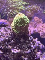 IMG_2007.jpeg