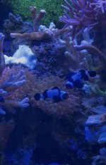 IMG_2114.jpeg