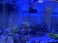 IMG_2951.jpeg