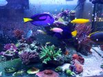 20200809_170936.jpg