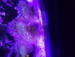 20220620_144409.jpg