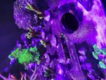 20220620_144418.jpg