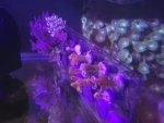 20220620_144426.jpg