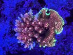 15F68632-65B5-4708-9133-2E6967E83B97.jpeg