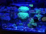 IMG_0025.jpeg