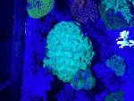 IMG_0023.jpeg