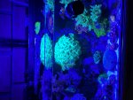 IMG_0022.jpeg