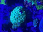 IMG_0024.jpeg