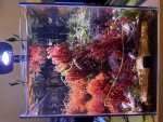 IMG_9069.jpeg