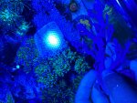 IMG_0587.jpeg