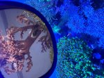 IMG_0592.jpeg